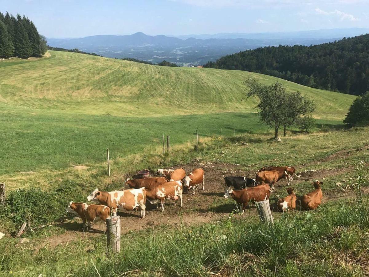 Apartments Planina Pod Sumikom Planina pod Sumnikom Kültér fotó