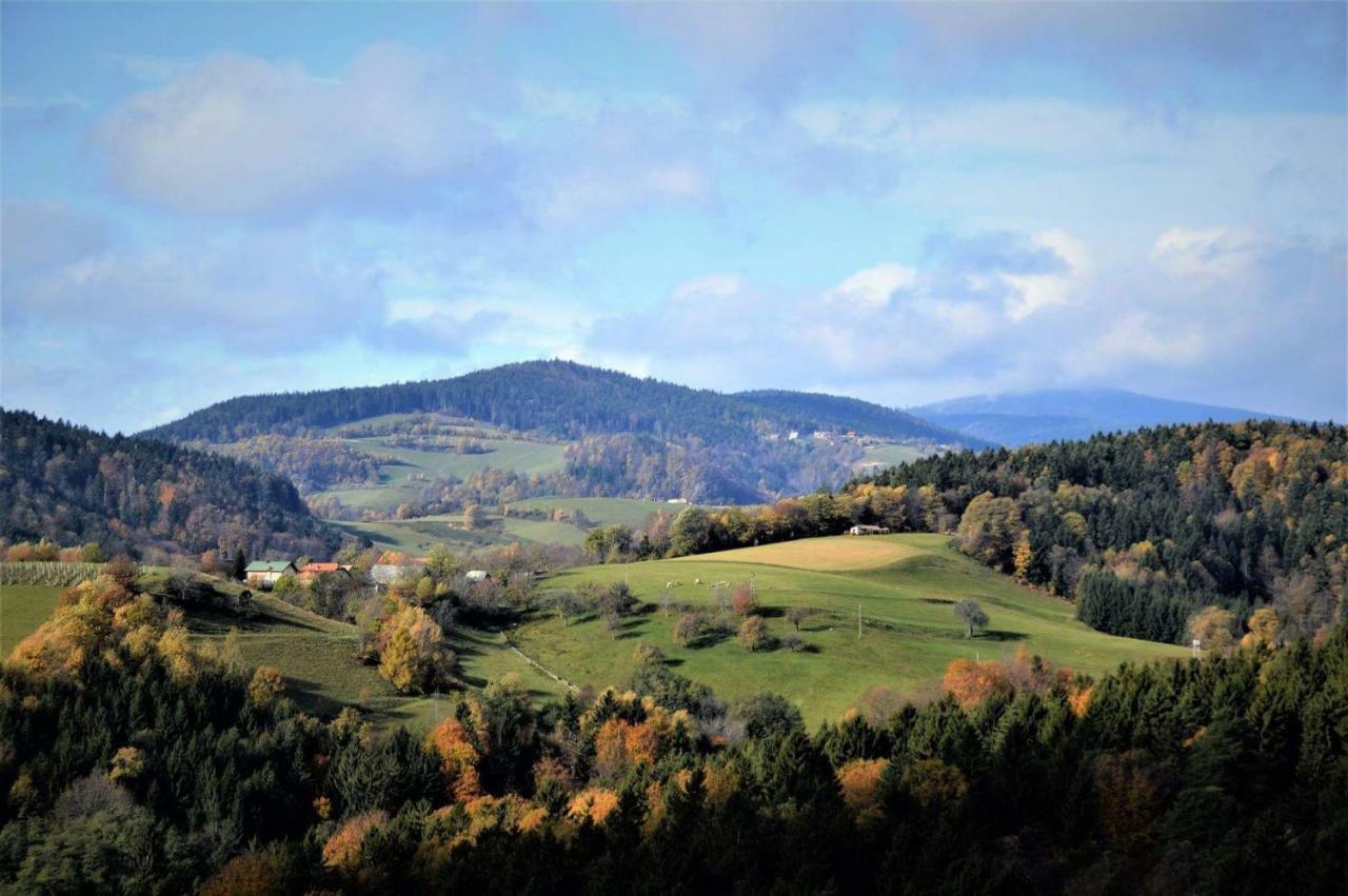 Apartments Planina Pod Sumikom Planina pod Sumnikom Kültér fotó