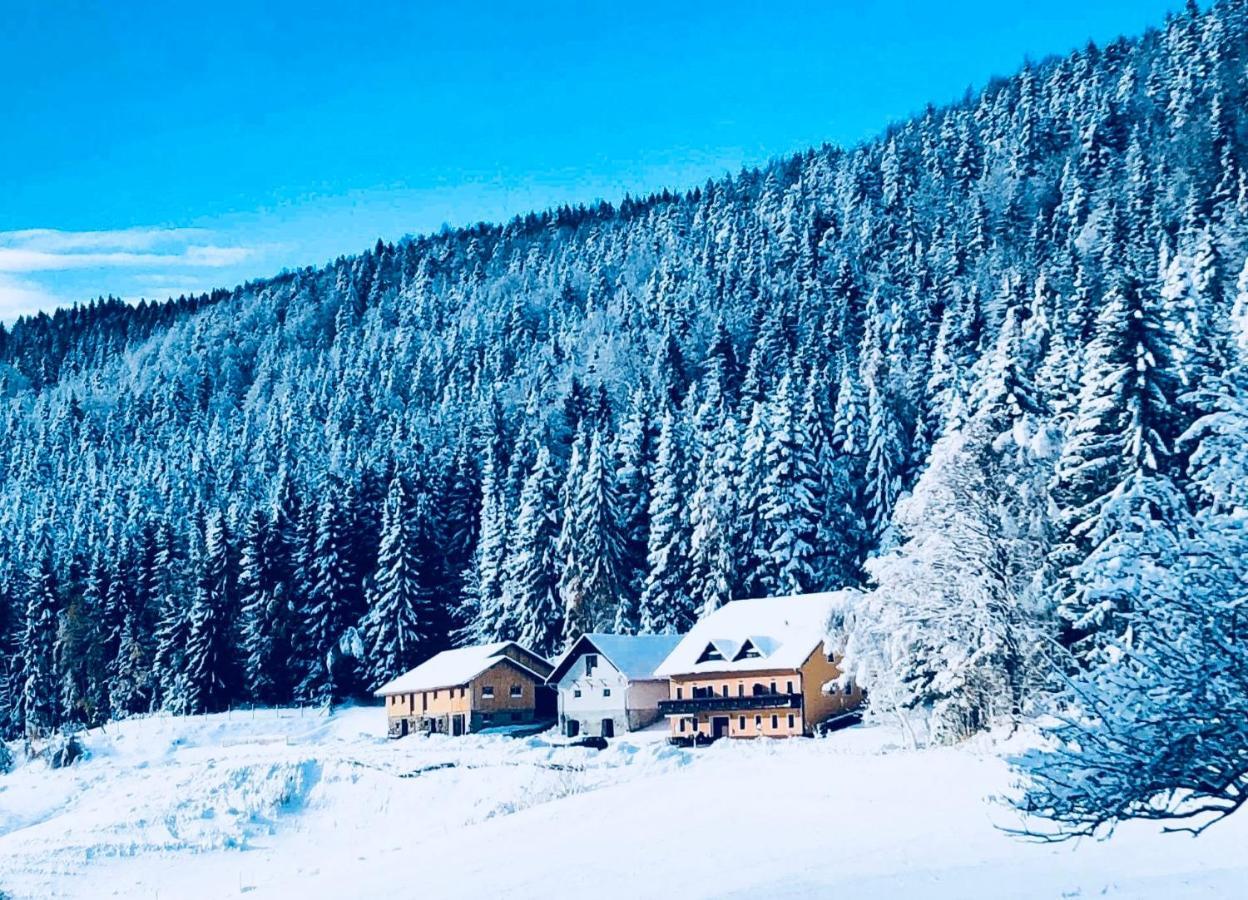 Apartments Planina Pod Sumikom Planina pod Sumnikom Kültér fotó